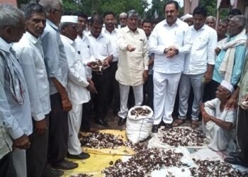 अमळनेर..!  ढगफुटी सदृश्य पाऊस होऊनही अतिवृष्टीची नोंद नाही