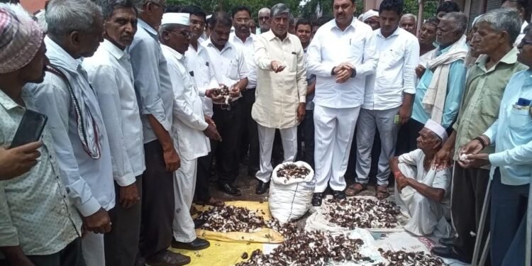 अमळनेर..! ढगफुटी सदृश्य पाऊस होऊनही अतिवृष्टीची नोंद नाही