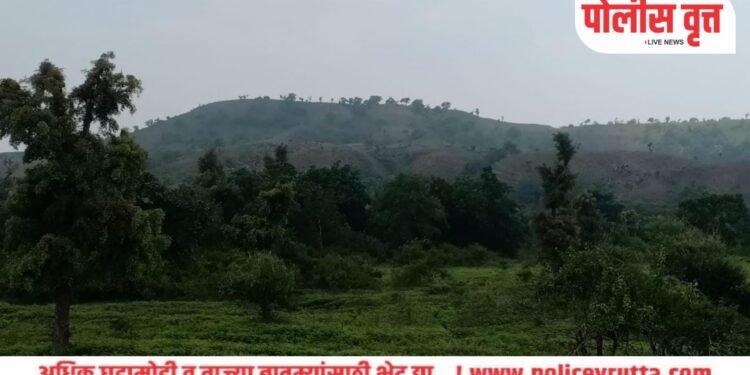 मुक्ताई भवानी अभयारण्य हद्दीत वन्य प्राण्यांच्या वस्तीवर मानव वस्तीचे आतिक्रमण? वन्यप्राणी मानव वस्ती कडे संचार