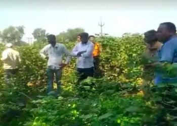 धक्कादायक..! एन दिवाळी सणाच्या विजेच्या धक्क्याने दोन वायरमनचा मृत्यू..! जळगाव जिल्ह्यातील खळबळजनक घटना