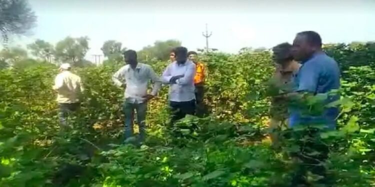 धक्कादायक..! एन दिवाळी सणाच्या विजेच्या धक्क्याने दोन वायरमनचा मृत्यू..! जळगाव जिल्ह्यातील खळबळजनक घटना