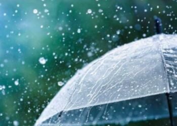 राज्यात पुढील 48 तासांत पावसाची शक्यता – हवामान विभागाचा अंदाज