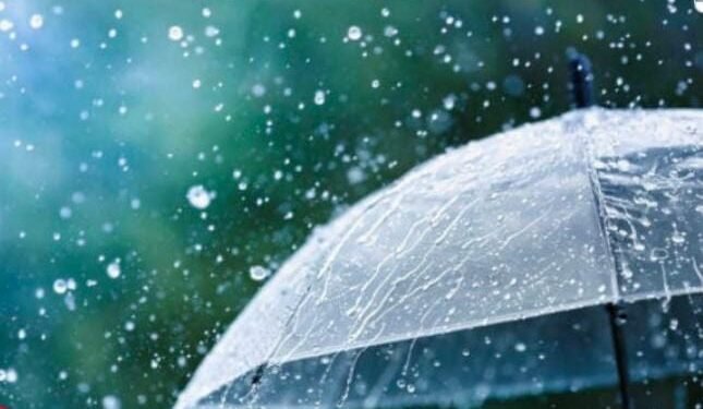 राज्यात पुढील 48 तासांत पावसाची शक्यता – हवामान विभागाचा अंदाज