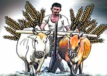 शेतकऱ्यांना मिळाला बाजार समिती निवडणूक लढविण्याचा अधिकार