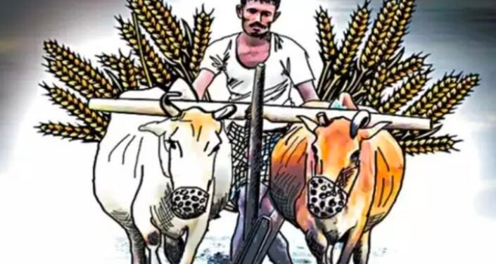 शेतकऱ्यांना मिळाला बाजार समिती निवडणूक लढविण्याचा अधिकार