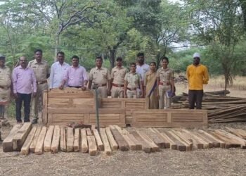 चोपडा..! वनविभागाची धडक कारवाई अवैध सागवान लाकुड जप्त