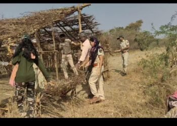 वनपरिक्षेत्र अधिकारी बि.के.थोरात यांच्या मार्गदर्शनाखाली;चोपडा वनविभागाची धडक कारवाई