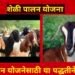 राज्य सरकारकडून शेळीपालन योजना सुरु – पहा कशी आहे हि योजना