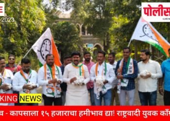 जळगाव..! कापसाला १५ हजाराचा हमीभाव द्या!  अन्यथा शेतकयांसह रा.यु.काँ जिल्हाभर उग्र आंदोलन करणार