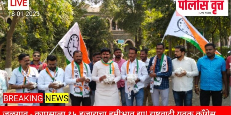 जळगाव..! कापसाला १५ हजाराचा हमीभाव द्या! अन्यथा शेतकयांसह रा.यु.काँ जिल्हाभर उग्र आंदोलन करणार