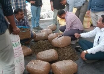 ब्रेकिंग..! भुसावळातून तब्बल 500 किलो गांजा जप्त!