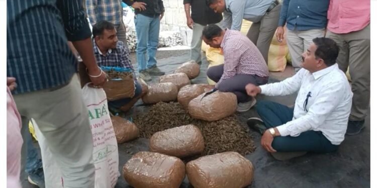 ब्रेकिंग..! भुसावळातून तब्बल 500 किलो गांजा जप्त!