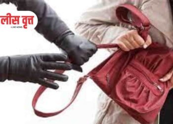 जळगावात महिलेची पर्स लांबविली