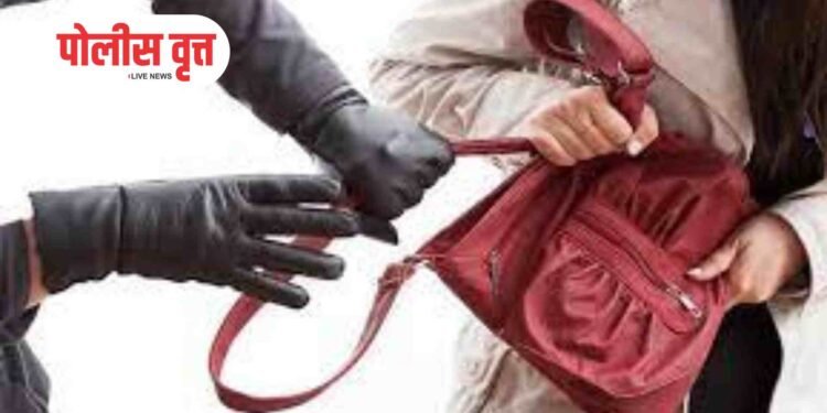 जळगावात महिलेची पर्स लांबविली