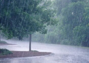 राज्यात मार्चच्या या तारखे दरम्यान पडणार पाऊस – हवामान विभागाचा अलर्ट जारी