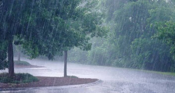 राज्यात मार्चच्या या तारखे दरम्यान पडणार पाऊस – हवामान विभागाचा अलर्ट जारी