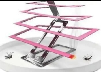 धक्कादायक! डासांपासून बचाव केला पण ६ जणांचा जीव गमावला