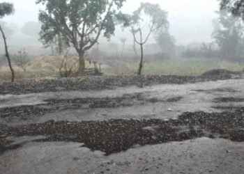 राज्यात एप्रिलच्या या तारखे दरम्यान पडणार पाऊस – हवामान विभागाकडून अलर्ट जारी