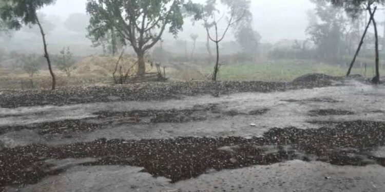 राज्यात एप्रिलच्या या तारखे दरम्यान पडणार पाऊस – हवामान विभागाकडून अलर्ट जारी