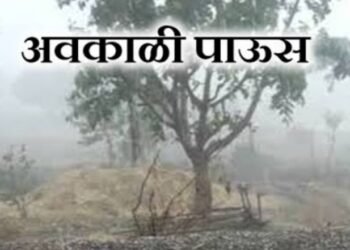 राज्यावर अवकाळी पावसाचं संकट  पुढील 3 दिवस या भागात यलो अलर्ट जारी