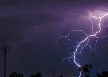 वीज कोसळून दहा शेळया ठार;