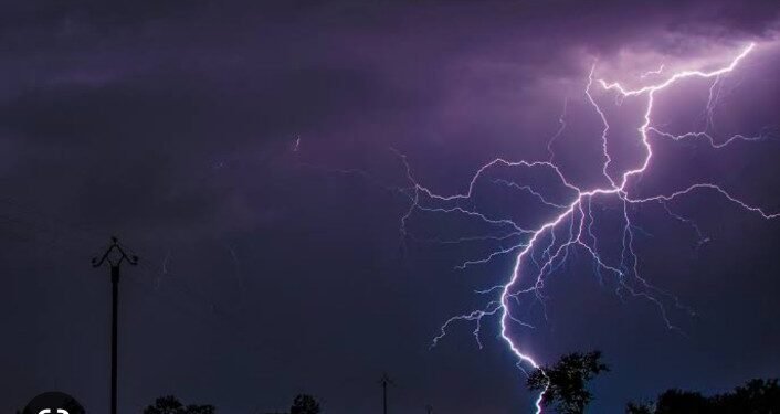 वीज कोसळून दहा शेळया ठार;