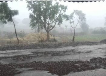 राज्यात पुढील दोन दिवस अनेक ठिकाणी पडणार अवकाळी पाऊस – हवामान विभागाकडून अलर्ट जारी