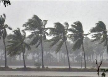 मान्सून पुढील 30 तासांत महाराष्ट्रात होणार दाखल