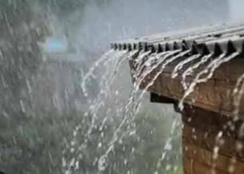 राज्यात पुढील 4, 5 दिवसांत मेघगर्जनेसह पावसाची शक्यता – हवामान विभागाचा अंदाज जारी