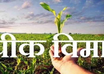 शेतकऱ्यांसाठी मोठी बातमी ! – पीक विम्याचा अर्ज करण्यास मुदतवाढ – आता ‘या’ तारखेपर्यंत करता येणार अर्ज