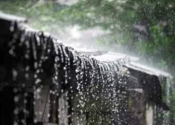 मोठी बातमी ! – राज्यात आजपासून पावसाचा जोर वाढणार – हवामान विभागाकडून २४ जिल्ह्यांना अलर्ट जारी