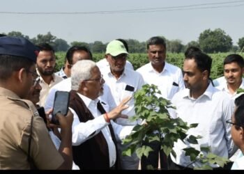 कापसाची उत्पादकता वाढविणे आवश्यक – जिल्हाधिकारी आयुष प्रसाद