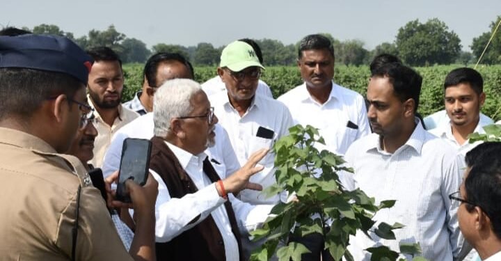 कापसाची उत्पादकता वाढविणे आवश्यक – जिल्हाधिकारी आयुष प्रसाद