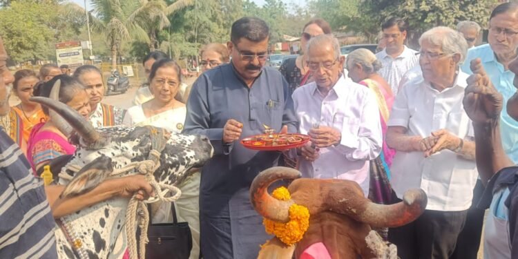 शहरातील पांजरपोळ संस्थेत गोमाता पूजनाचा कार्यक्रम संपन्न