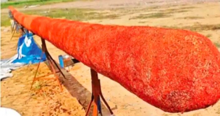 अयोध्यातील प्राणप्रतिष्ठेसाठी १०८ फूट लांब अगरबत्ती; ४५ दिवस जळत राहणार