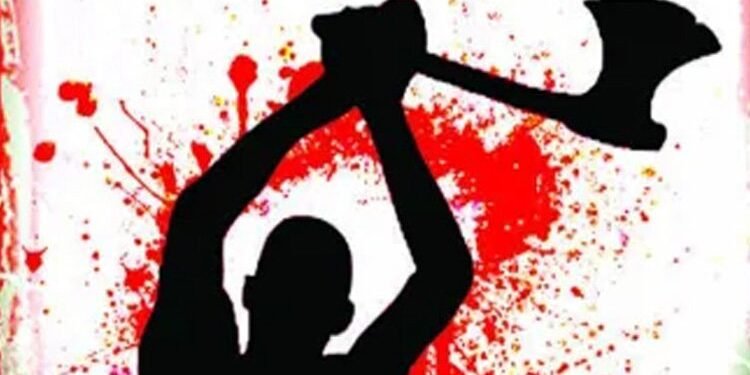 ब्रेकिंग : संतापाच्या भरात कुऱ्हाडीने वार करत बापाला संपविले