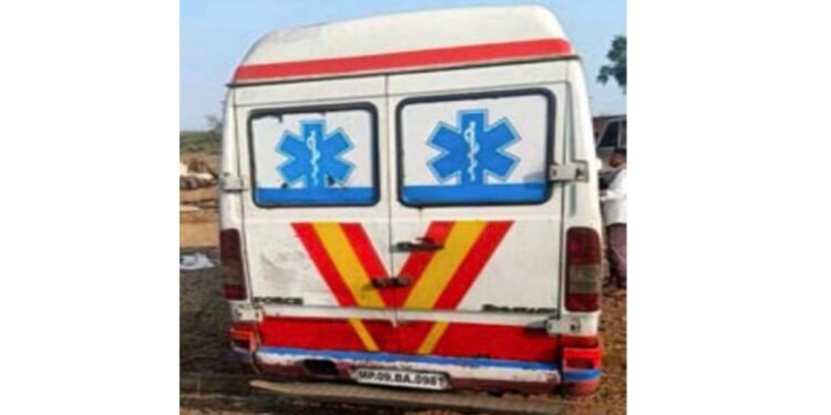 गुरांच्या तस्करीसाठी रुग्णवाहिकेचा वापर : दहा गायींची सुटका; दोघा परप्रांतीयांना बेड्या