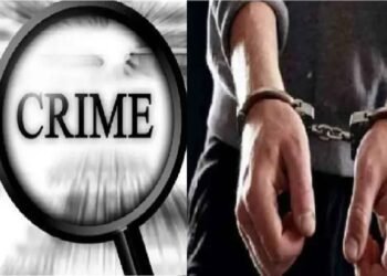 अमळनेर: हॉटेलवर चाकू हल्ल्या प्रकरणी फरार आरोपी सोनू पारधी अटकेत