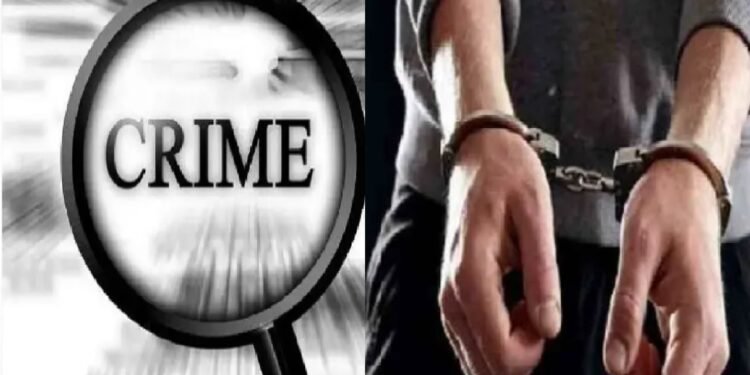 अमळनेर: हॉटेलवर चाकू हल्ल्या प्रकरणी फरार आरोपी सोनू पारधी अटकेत