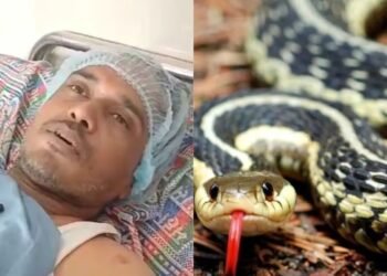 धक्कादायक : नवऱ्याला संपविण्यासाठी बायकोने रचला कट; दारू पाजून केला सर्पदंश