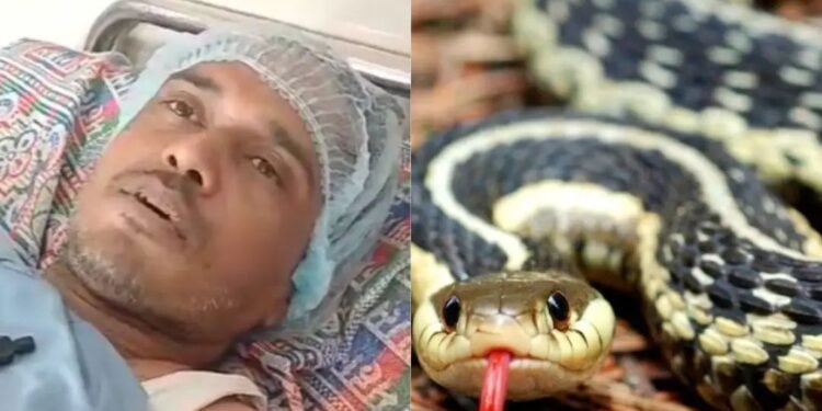 धक्कादायक : नवऱ्याला संपविण्यासाठी बायकोने रचला कट; दारू पाजून केला सर्पदंश