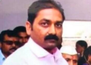 अचानक मधमाशांचा हल्ला, चालकाचे नियंत्रण सुटले ट्रॅक्टर कोसळले तापी नदीत; चालकाचा मृत्यू