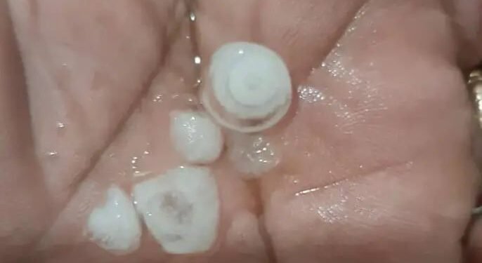 ब्रेकिंग: जळगाव जिल्ह्यात वादळी वाऱ्यासह विजांच्या कडकडाट बेमोसमी पाऊस