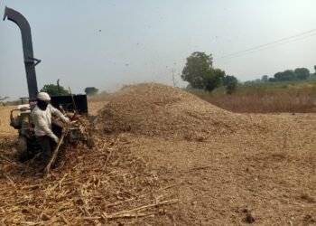 कडब्याची यंत्राद्वारे बारीक कुट्टी; दुष्काळात चाऱ्याची व्यवस्था