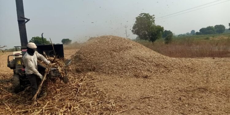 कडब्याची यंत्राद्वारे बारीक कुट्टी; दुष्काळात चाऱ्याची व्यवस्था