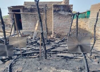 अमळनेर पहाटेच्या सुमारास आगीत १९ शेळ्यांचा जळून मृत्यू