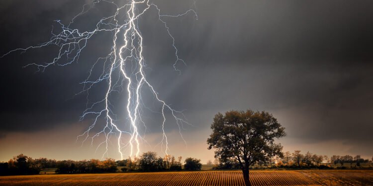 जळगाव जिल्ह्यात वीज पडून तरुणासह महिला ठार