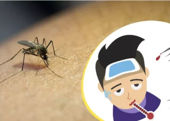 शिरूड गावात डेंग्यूचा शिरकाव – आरोग्य विभाग सतर्क