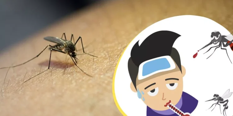 शिरूड गावात डेंग्यूचा शिरकाव – आरोग्य विभाग सतर्क