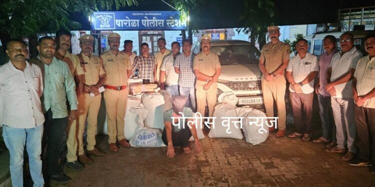 राष्ट्रीय महामार्गावर अफूचा मोठा साठा! पारोळा पोलिसांची धडाकेबाज कारवाई